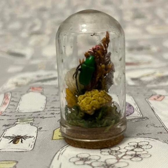 Handmade beetle dome taxidermy jar - Picture 1 of 5